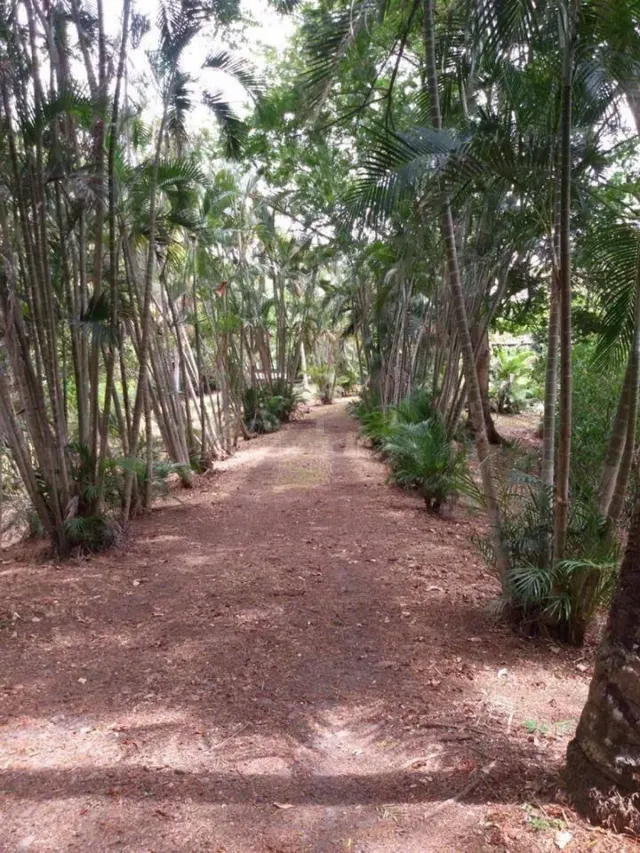 Finca en Venta en Turrúcares – Con Río, Piscinas y Alto Potencial Ecoturístico