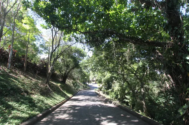 Residencia de Lujo en La Guácima con Bosque Privado y Vistas Panorámicas