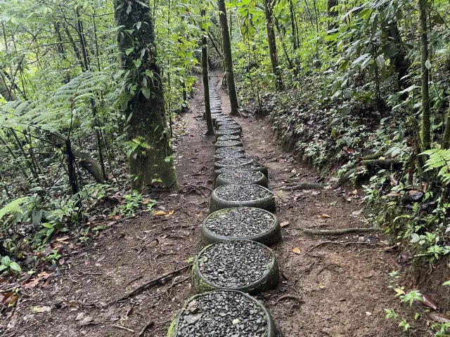 Propiedad de 26 hectareas con canopy tour, caballos, dos casas y plataformas planas listas para construir casas