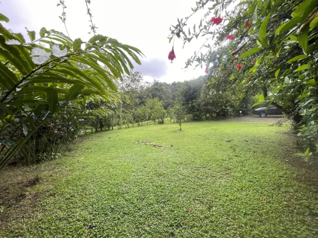 Propiedad de 26 hectareas con canopy tour, caballos, dos casas y plataformas planas listas para construir casas