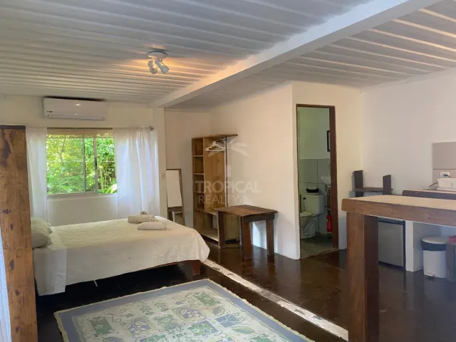 Estudio con una cama, una ventana con vegetación afuera, muebles de madera y una puerta que conduce al baño.
