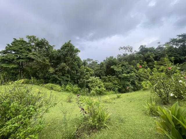 Propiedad de 26 hectareas con canopy tour, caballos, dos casas y plataformas planas listas para construir casas