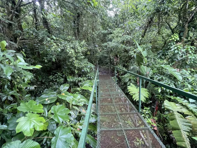 Propiedad de 26 hectareas con canopy tour, caballos, dos casas y plataformas planas listas para construir casas