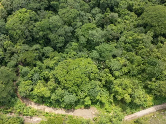 Lote Comercial Estratégico en Cabuya – Alta Exposición y Gran Potencial de Desarrollo