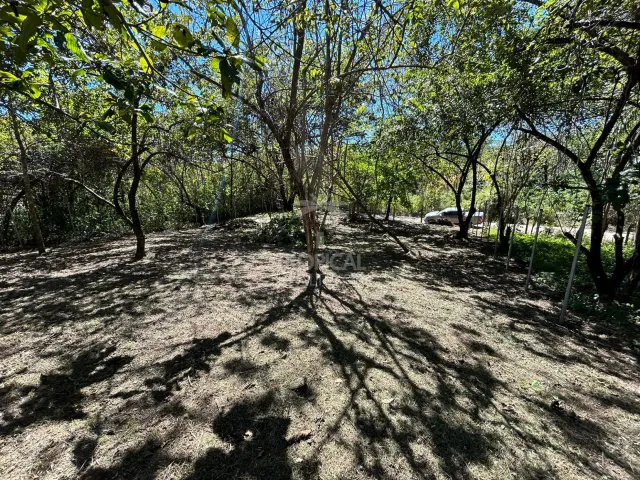 Lote en venta en Las Delicias de Cobano: Tu oasis costero en Costa Rica.