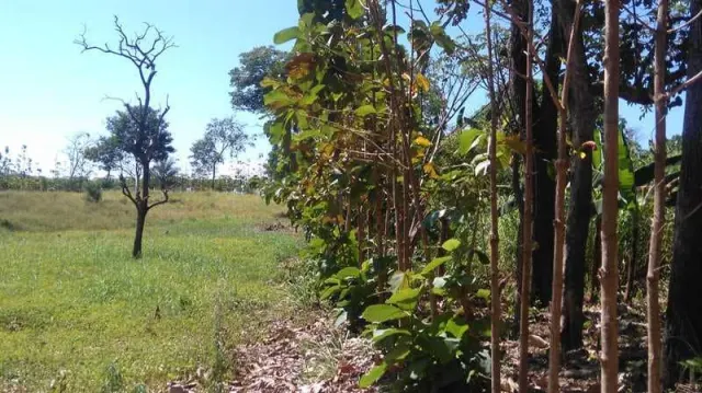 Quinta ideal para amantes de la naturaleza y caballos, cerca de playas