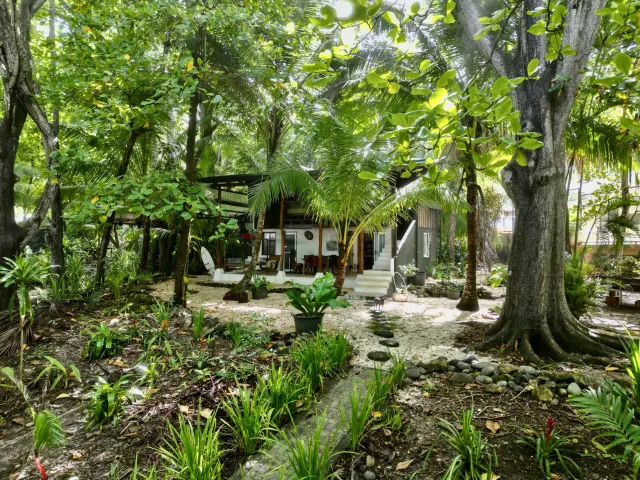 Casa Frente al Mar en Alquiler en Santa Teresa