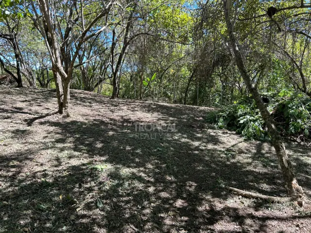 Lote en venta en Las Delicias de Cobano: Tu oasis costero en Costa Rica.