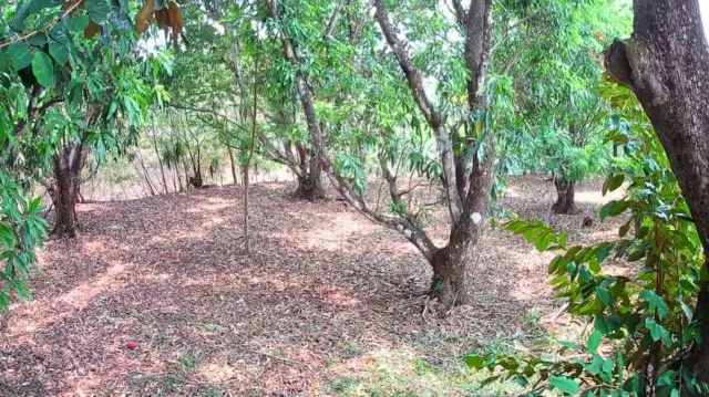 Lote Estratégico de 1.312 m² Frente a Ruta 27 – Orotina, Alajuela