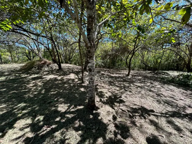 Lote en venta en Las Delicias de Cobano: Tu oasis costero en Costa Rica.