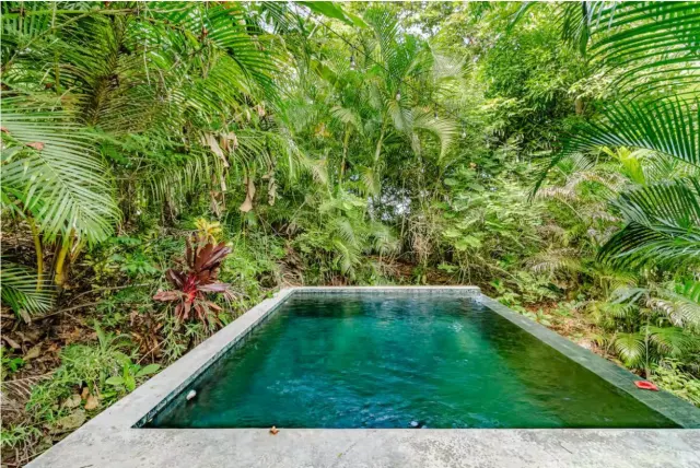 Villa de Lujo con Vista al Océano en Santa Teresa – Privacidad, Naturaleza y Potencial de Inversión