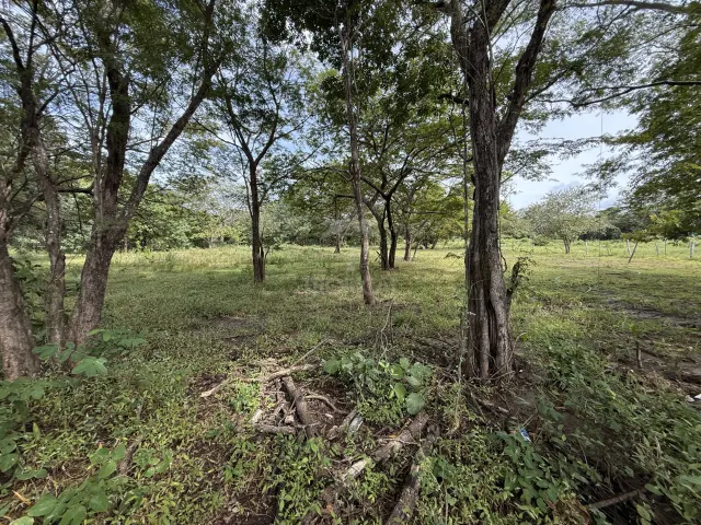 Lote en Villa Real cerca de Tamarindo plano
