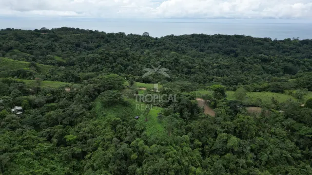 Lotes en Venta en Santiago: Tu Oportunidad de Inversión en Costa Rica