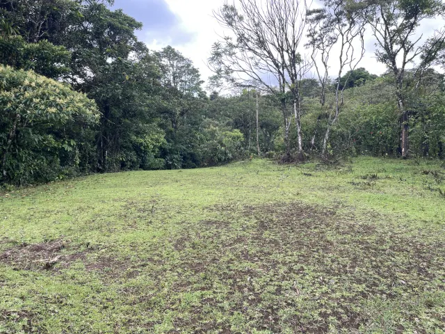 Propiedad de 26 hectareas con canopy tour, caballos, dos casas y plataformas planas listas para construir casas
