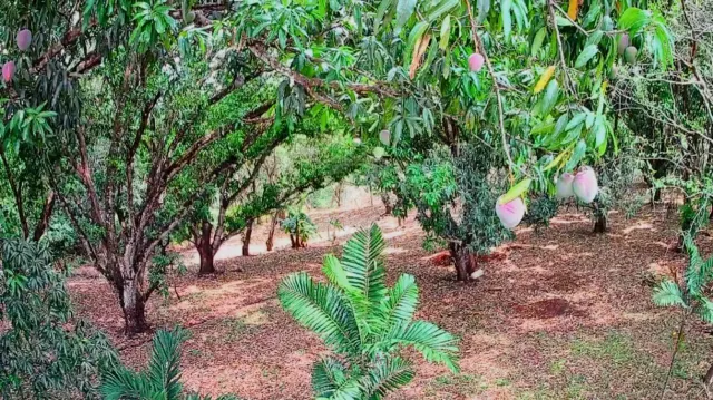 Lote Estratégico de 1.312 m² Frente a Ruta 27 – Orotina, Alajuela