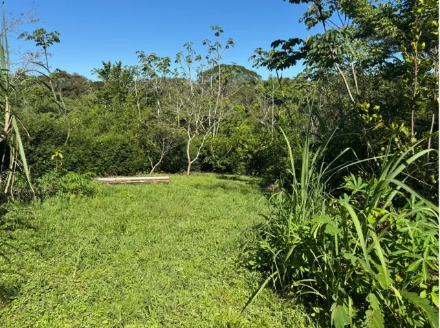 Lote de 1,527 m² en La Palmita – Naturaleza y Cercanía a Playa Hermosa