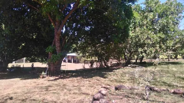 Quinta ideal para amantes de la naturaleza y caballos, cerca de playas