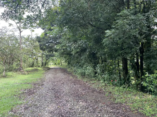 Propiedad de 26 hectareas con canopy tour, caballos, dos casas y plataformas planas listas para construir casas