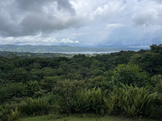 Propiedad de 26 hectareas con canopy tour, caballos, dos casas y plataformas planas listas para construir casas