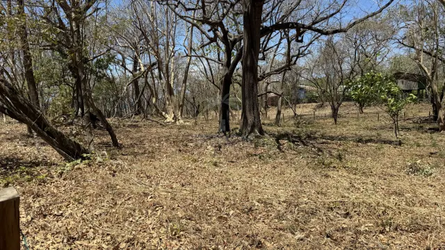 Lote en Venta Frente a Playa Lagartillo, Avellanas Guanacaste