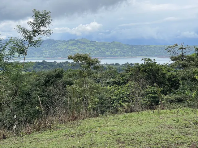 Propiedad de 26 hectareas con canopy tour, caballos, dos casas y plataformas planas listas para construir casas