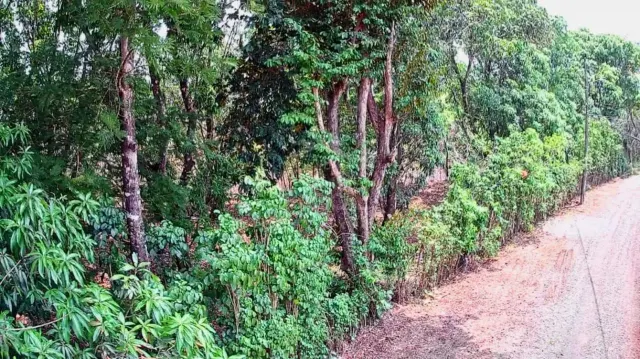 Lote Estratégico de 1.312 m² Frente a Ruta 27 – Orotina, Alajuela
