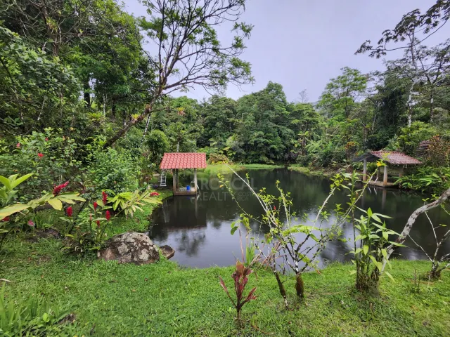Terreno de 26 hectareas con Vistas al Lago en Nuevo Arenal, Ideal para Desarrollo Residencial Familiar