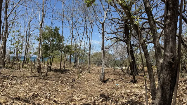 Lote en Venta Frente a Playa Lagartillo, Avellanas Guanacaste