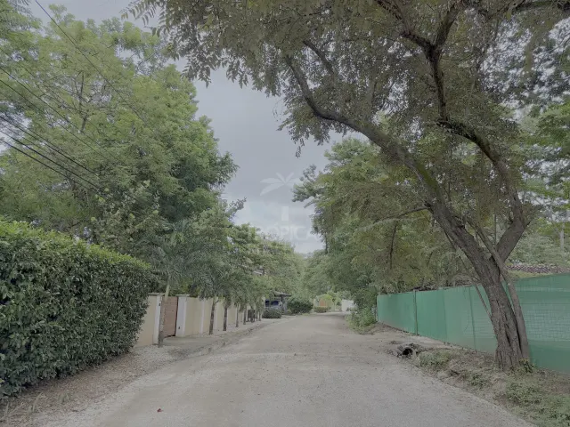 Casa Rústica Frente al Mar en Alquiler en Playa Grande, Guanacaste | Con Acceso Directo a la Playa