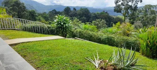 Hotel Boutique con Vista al Océano en Dominical – 13 Unidades en 1 Hectárea