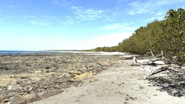 Lote en Venta Frente a Playa Lagartillo, Avellanas Guanacaste