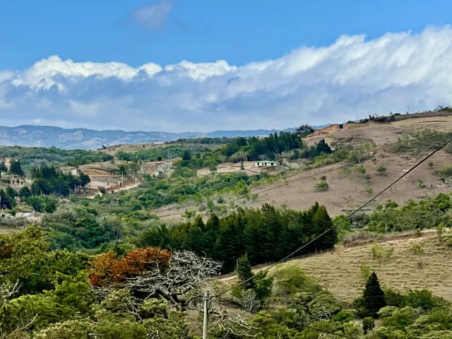 Lote en venta en San Ramon con 3100m2 de lote