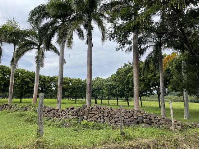 Strategic Investment in Guanacaste – Prime Lot Just 1 km from Playa Copal