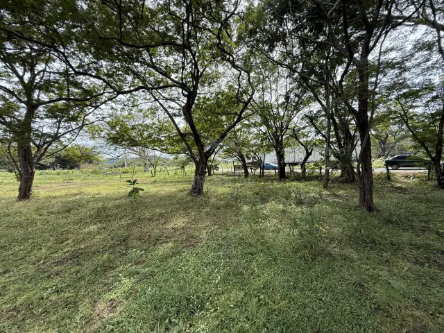 Lote en Villa Real cerca de Tamarindo plano