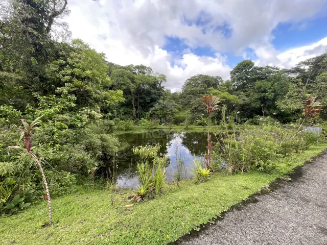 Terreno de 26 hectareas con Vistas al Lago en Nuevo Arenal, Ideal para Desarrollo Residencial Familiar