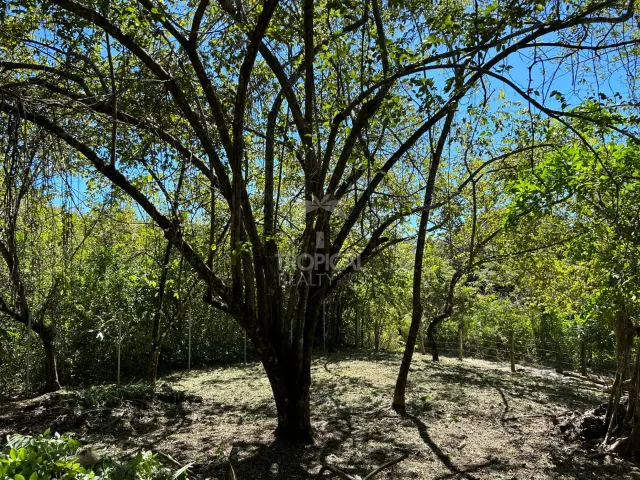 Lote en venta en Las Delicias de Cobano: Tu oasis costero en Costa Rica.