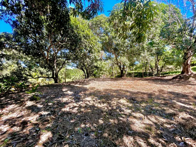 Lote Comercial Mixto en Venta – Alta Exposición en Playa Manzanillo