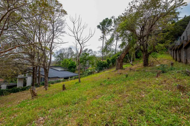 Lote Exclusivo con Vistas Panorámicas en Hacienda El Cocoy, Guachipelín – Privacidad, Lujo y Ubicación Estratégica