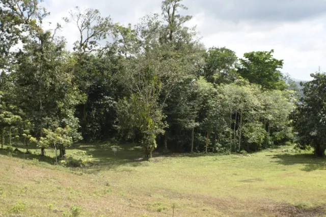 Lote en venta Lago Arenal, Tilaran