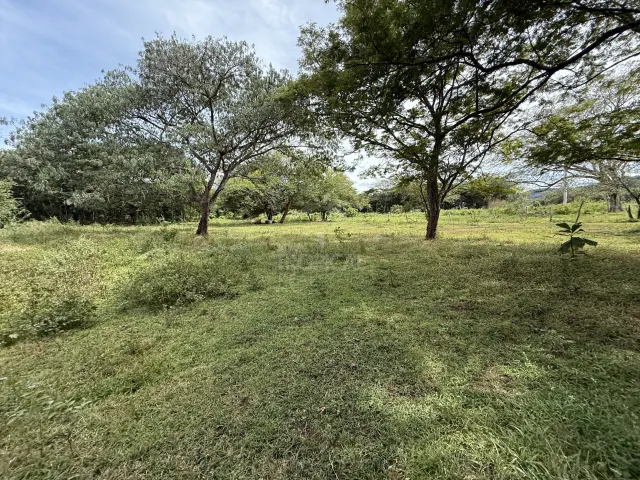 Lote en Villa Real cerca de Tamarindo plano