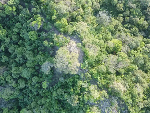 Santuario Natural en Venta Cerca de Playa Negra – Dos Lotes Titulados en Guanacaste