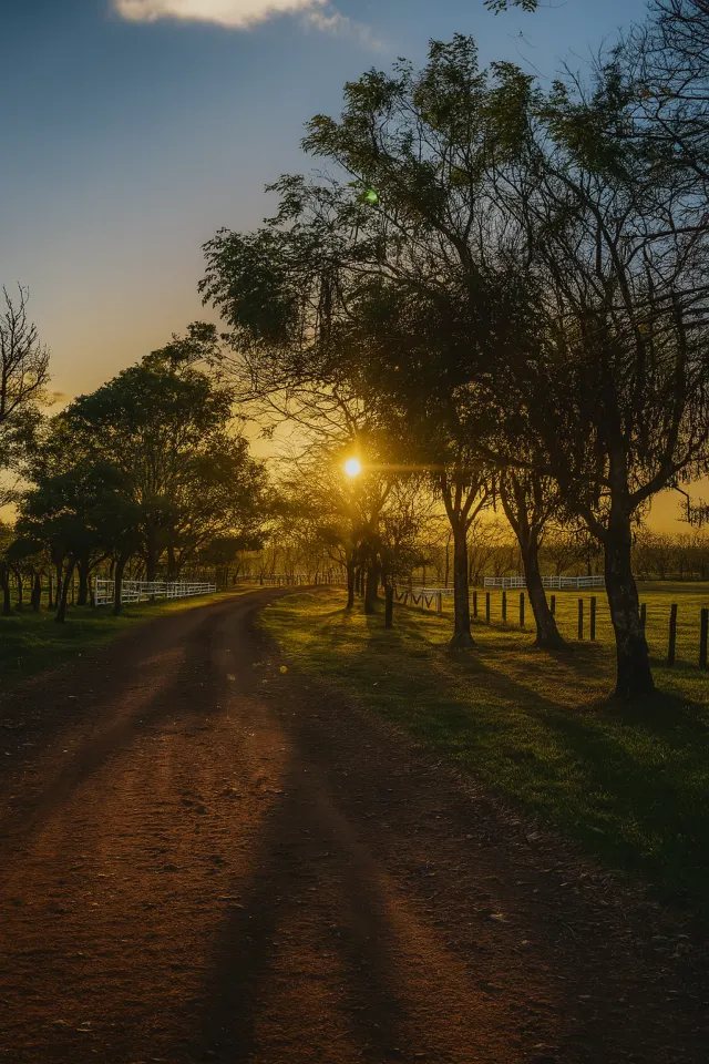 Propiedad agropecuaria de 4,461 ha con agua y alto potencial