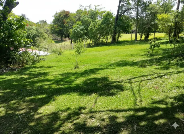 Lote en venta Monteverde Santa Elena