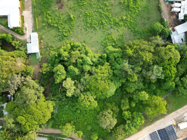 Lote de 5,416 m² en Garita, Tamarindo: Agua Garantizada y Entorno Natural