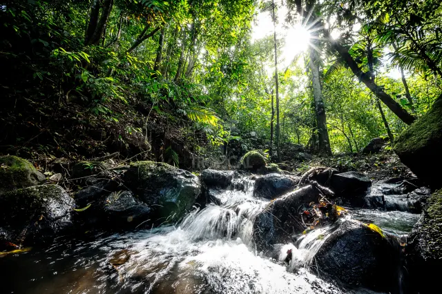 Exclusiva Finca con Vista al Lago y Volcán Arenal – BAJO CONTRATO