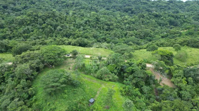 Lotes en Venta en Santiago: Tu Oportunidad de Inversión en Costa Rica