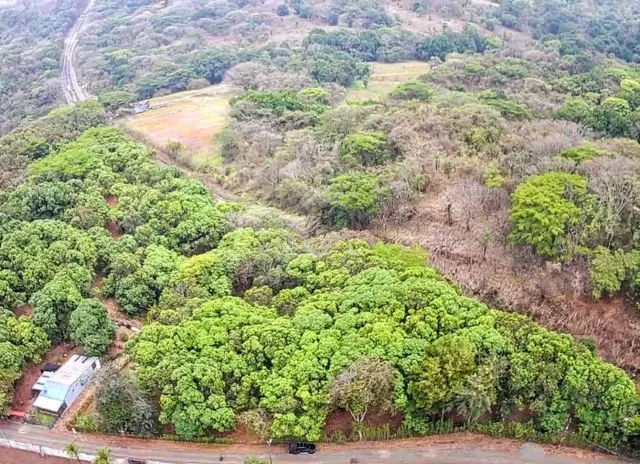 Lote Estratégico de 1.312 m² Frente a Ruta 27 – Orotina, Alajuela