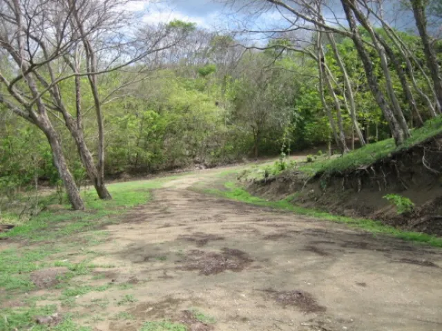 Oportunidad de inversión en playa para terreno de desarrollo y hotel