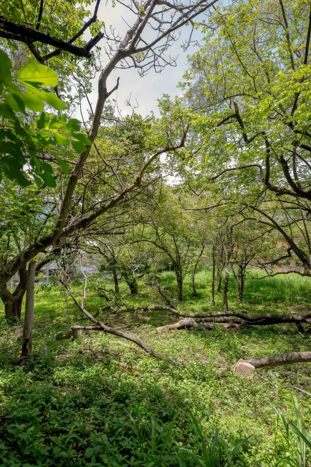 Venta de Lote Privado y Lujoso en Rio Oro, Santa Ana