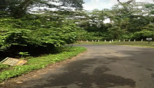 Propiedad Exclusiva en Arenal, Costa Rica – 20.3 Hectáreas con Vista al Volcán y al Lago